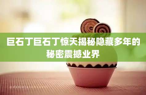 巨石丁巨石丁惊天揭秘隐藏多年的秘密震撼业界