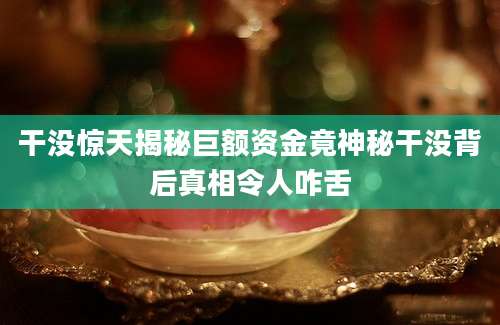 干没惊天揭秘巨额资金竟神秘干没背后真相令人咋舌