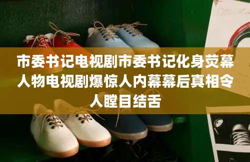 市委书记电视剧市委书记化身荧幕人物电视剧爆惊人内幕幕后真相令人瞠目结舌