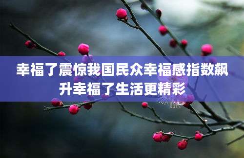 幸福了震惊我国民众幸福感指数飙升幸福了生活更精彩