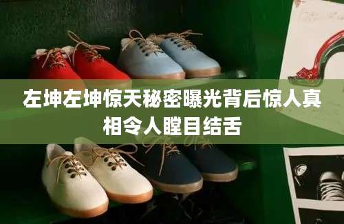 左坤左坤惊天秘密曝光背后惊人真相令人瞠目结舌