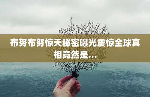 布努布努惊天秘密曝光震惊全球真相竟然是...