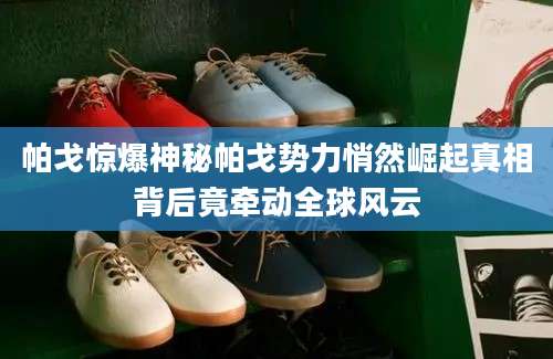 帕戈惊爆神秘帕戈势力悄然崛起真相背后竟牵动全球风云