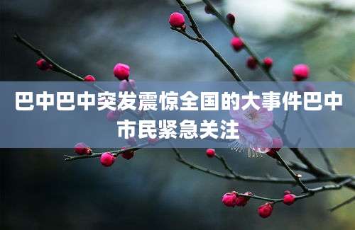 巴中巴中突发震惊全国的大事件巴中市民紧急关注
