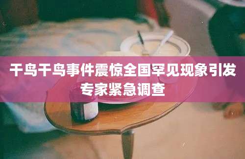 干鸟干鸟事件震惊全国罕见现象引发专家紧急调查