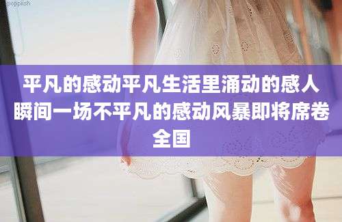 平凡的感动平凡生活里涌动的感人瞬间一场不平凡的感动风暴即将席卷全国