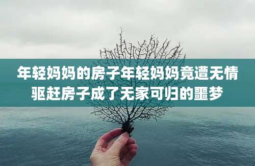 年轻妈妈的房子年轻妈妈竟遭无情驱赶房子成了无家可归的噩梦