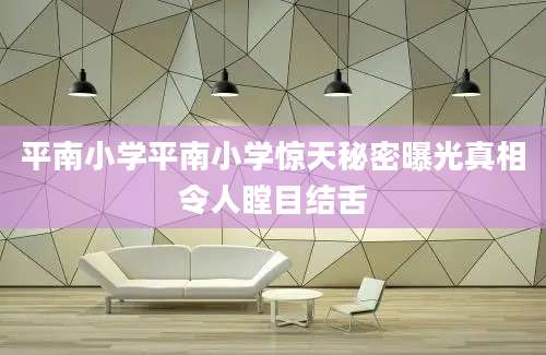 平南小学平南小学惊天秘密曝光真相令人瞠目结舌