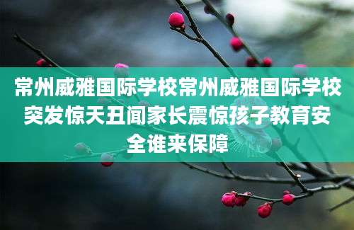 常州威雅国际学校常州威雅国际学校突发惊天丑闻家长震惊孩子教育安全谁来保障