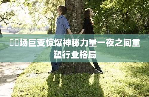 巿巿场巨变惊爆神秘力量一夜之间重塑行业格局