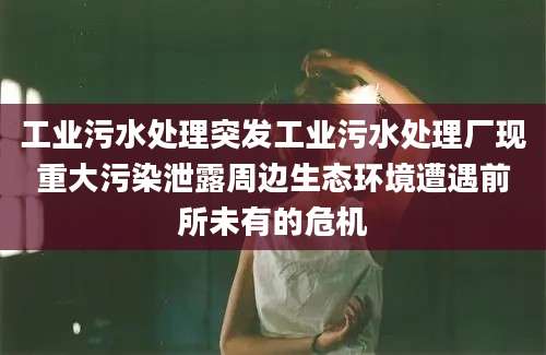 工业污水处理突发工业污水处理厂现重大污染泄露周边生态环境遭遇前所未有的危机