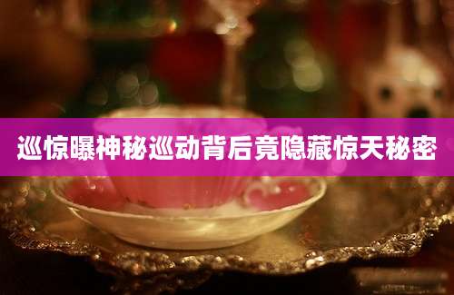 巡惊曝神秘巡动背后竟隐藏惊天秘密
