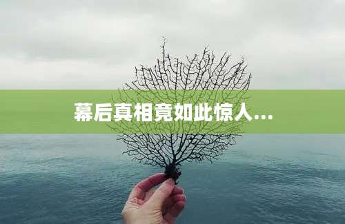 幕后真相竟如此惊人...