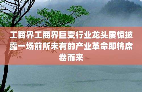 工商界工商界巨变行业龙头震惊披露一场前所未有的产业革命即将席卷而来