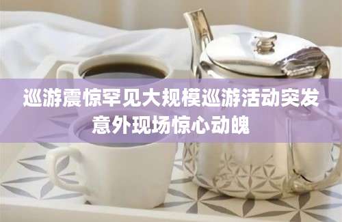 巡游震惊罕见大规模巡游活动突发意外现场惊心动魄