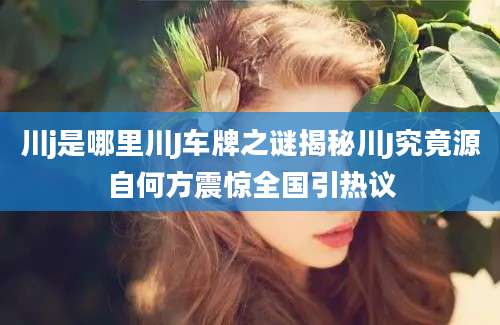 川j是哪里川J车牌之谜揭秘川J究竟源自何方震惊全国引热议
