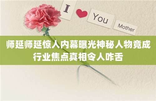 师延师延惊人内幕曝光神秘人物竟成行业焦点真相令人咋舌