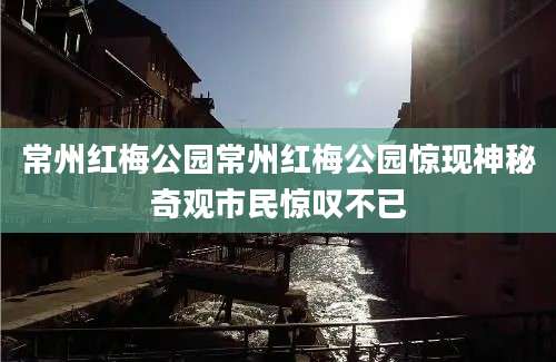 常州红梅公园常州红梅公园惊现神秘奇观市民惊叹不已