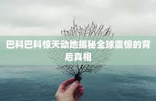 巴科巴科惊天动地揭秘全球震惊的背后真相