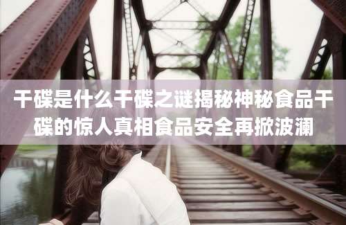 干碟是什么干碟之谜揭秘神秘食品干碟的惊人真相食品安全再掀波澜