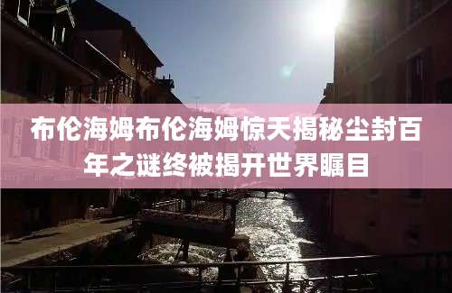 布伦海姆布伦海姆惊天揭秘尘封百年之谜终被揭开世界瞩目