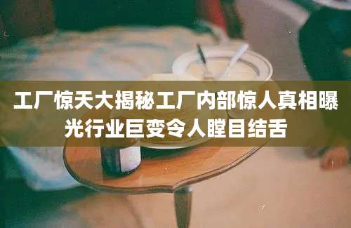 工厂惊天大揭秘工厂内部惊人真相曝光行业巨变令人瞠目结舌