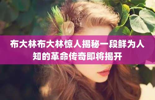 布大林布大林惊人揭秘一段鲜为人知的革命传奇即将揭开