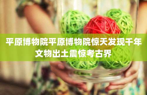 平原博物院平原博物院惊天发现千年文物出土震惊考古界