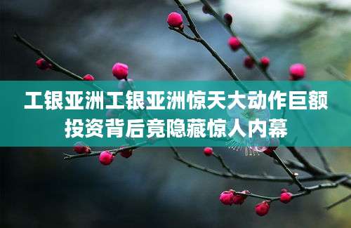 工银亚洲工银亚洲惊天大动作巨额投资背后竟隐藏惊人内幕