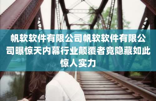帆软软件有限公司帆软软件有限公司曝惊天内幕行业颠覆者竟隐藏如此惊人实力