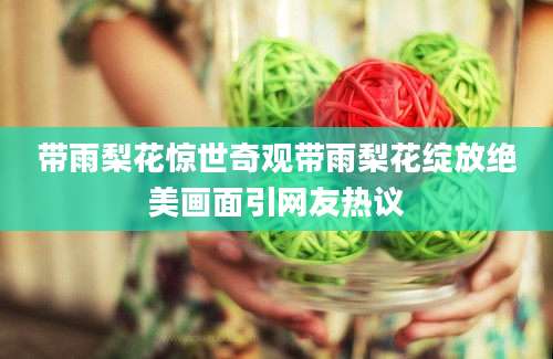 带雨梨花惊世奇观带雨梨花绽放绝美画面引网友热议