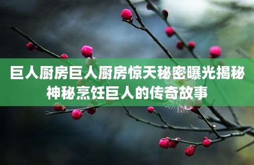 巨人厨房巨人厨房惊天秘密曝光揭秘神秘烹饪巨人的传奇故事