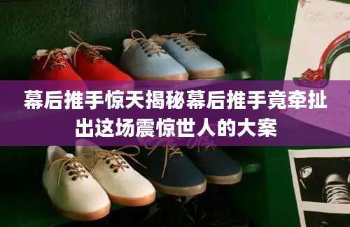 幕后推手惊天揭秘幕后推手竟牵扯出这场震惊世人的大案
