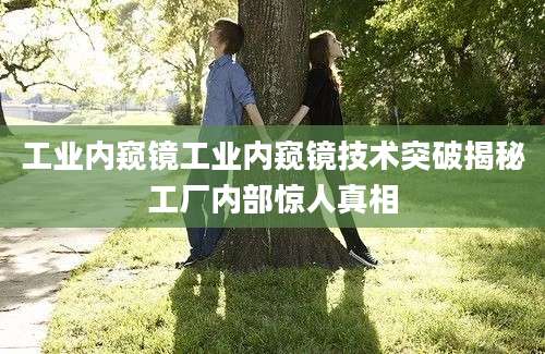 工业内窥镜工业内窥镜技术突破揭秘工厂内部惊人真相