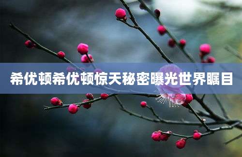 希优顿希优顿惊天秘密曝光世界瞩目