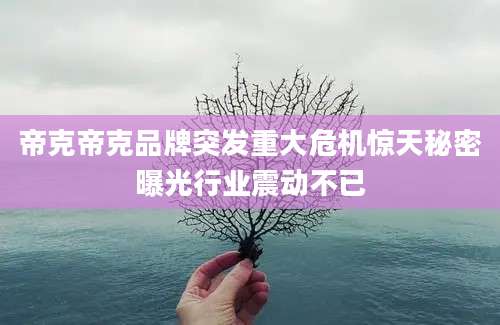 帝克帝克品牌突发重大危机惊天秘密曝光行业震动不已