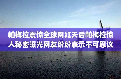 帕梅拉震惊全球网红天后帕梅拉惊人秘密曝光网友纷纷表示不可思议