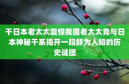 干日本老太太震惊我国老太太竟与日本神秘干系揭开一段鲜为人知的历史谜团