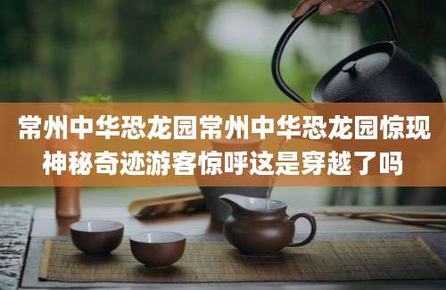 常州中华恐龙园常州中华恐龙园惊现神秘奇迹游客惊呼这是穿越了吗