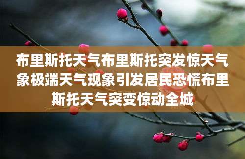 布里斯托天气布里斯托突发惊天气象极端天气现象引发居民恐慌布里斯托天气突变惊动全城