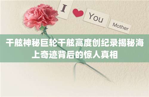 干舷神秘巨轮干舷高度创纪录揭秘海上奇迹背后的惊人真相