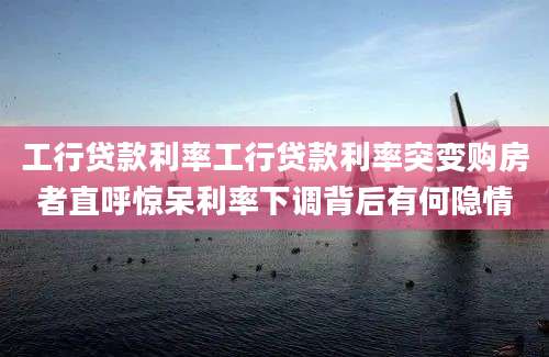 工行贷款利率工行贷款利率突变购房者直呼惊呆利率下调背后有何隐情