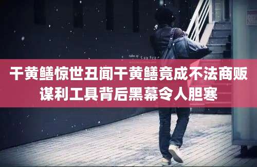 干黄鳝惊世丑闻干黄鳝竟成不法商贩谋利工具背后黑幕令人胆寒