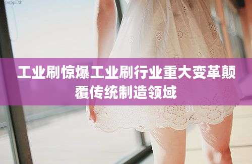 工业刷惊爆工业刷行业重大变革颠覆传统制造领域