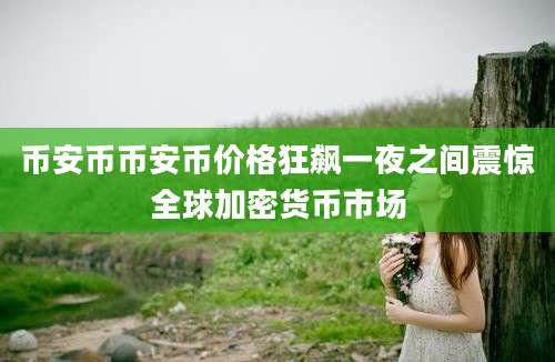 币安币币安币价格狂飙一夜之间震惊全球加密货币市场
