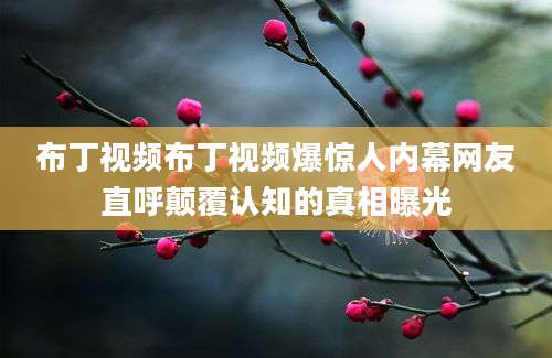 布丁视频布丁视频爆惊人内幕网友直呼颠覆认知的真相曝光