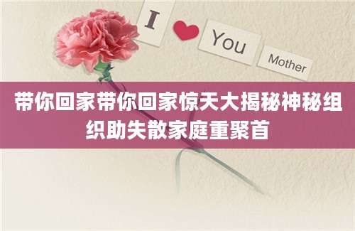 带你回家带你回家惊天大揭秘神秘组织助失散家庭重聚首