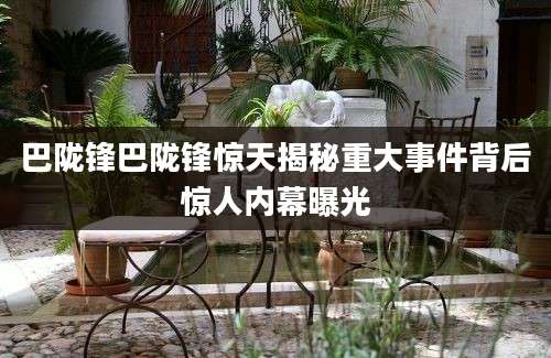 巴陇锋巴陇锋惊天揭秘重大事件背后惊人内幕曝光