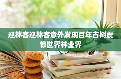 巡林客巡林客意外发现百年古树震惊世界林业界