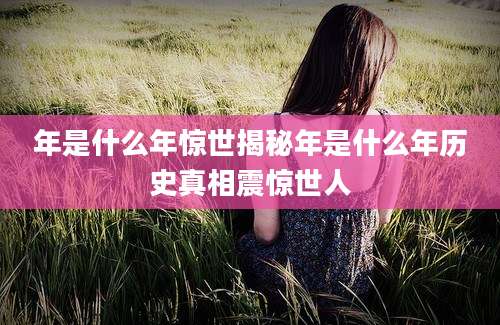 年是什么年惊世揭秘年是什么年历史真相震惊世人
